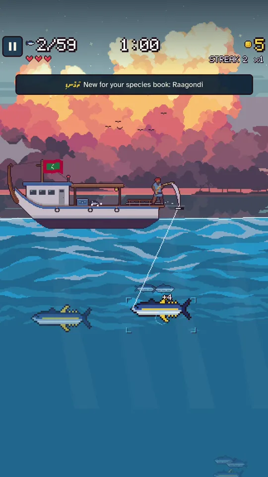 A tuna caught at sunset, a new species for the book